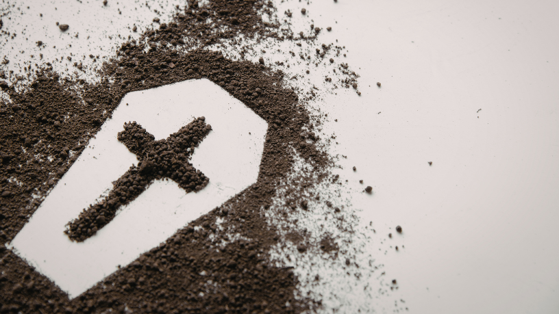 Os serviços funerários para pets priorizam acolhimento e respeito no momento da despedida, afirma Tiago Schietti.