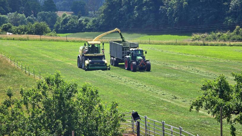 Alfredo Moreira Filho analisa os desafios reais da produção agrícola em diferentes regiões do Brasil e explica o que eles revelam sobre as transformações e o futuro do campo.