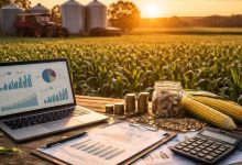 Parajara Moraes Alves Junior