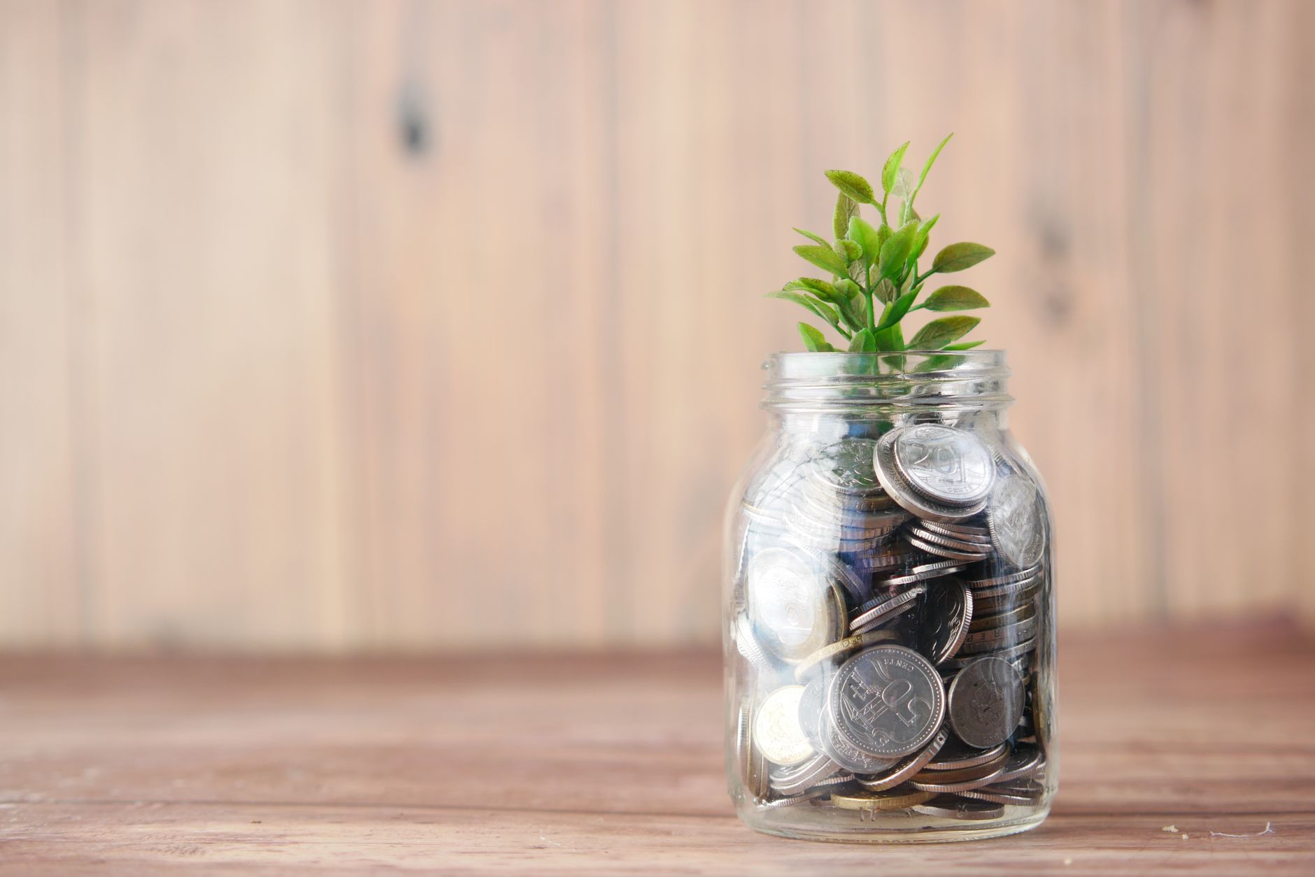 Pote transparente com moedas e uma pequena planta, simbolizando investimento e crescimento sustentável.